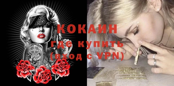 кокс Алексин