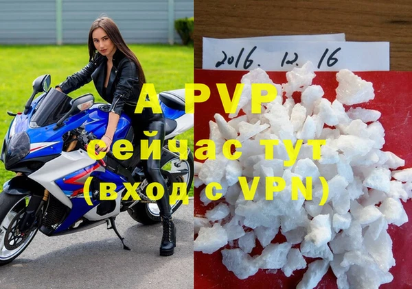 a pvp Алзамай