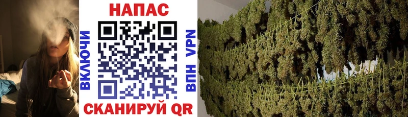 Бошки Шишки SATIVA & INDICA купить наркоту Пролетарск